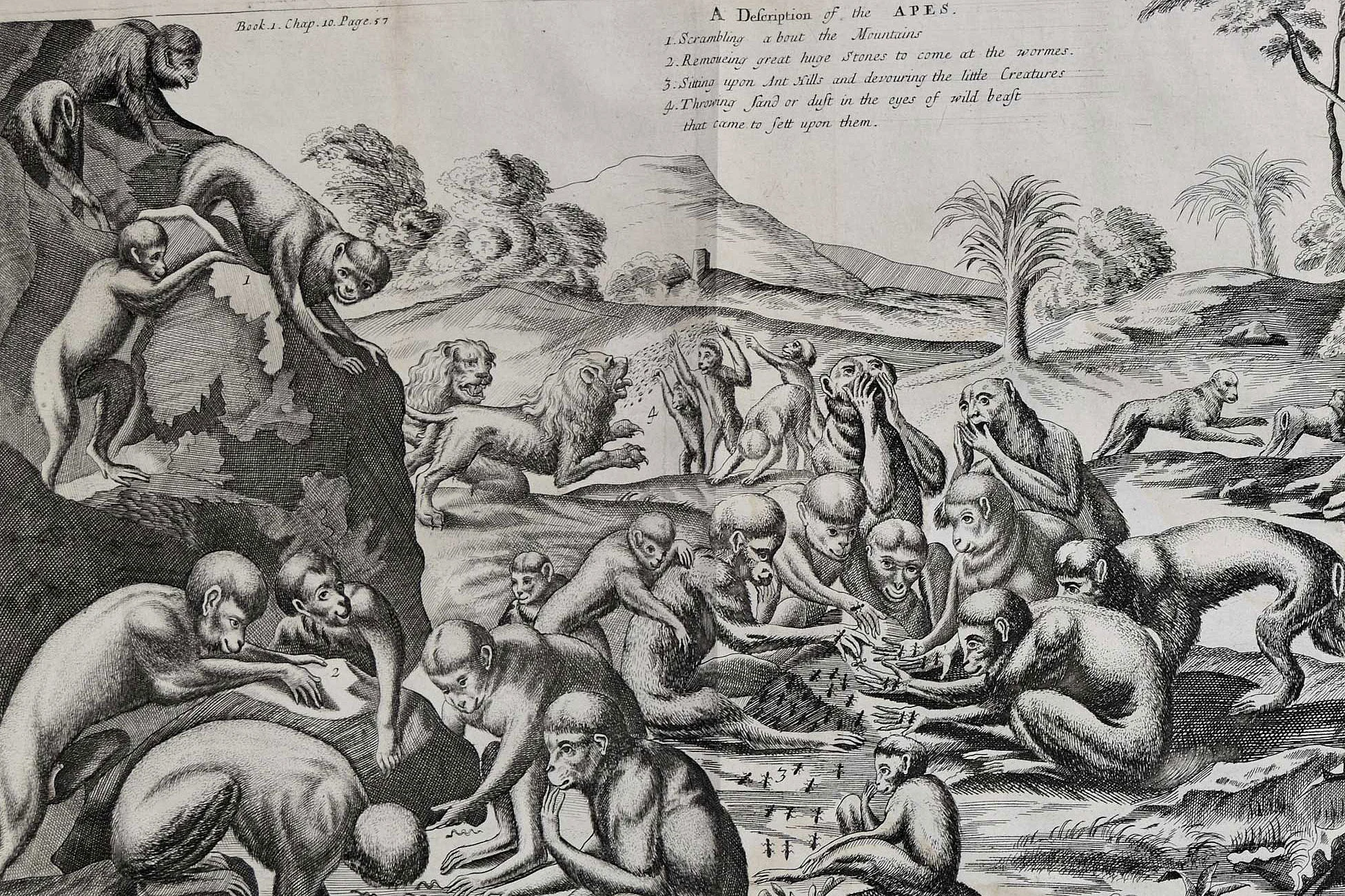 Netzwerk Frühneuzeit-Orientalistik