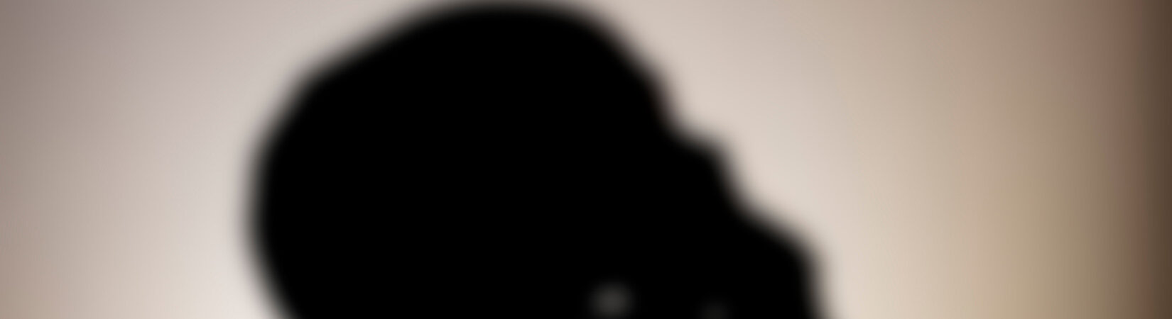 Provenienz und Geschichte der Sammlung indonesischer Schädel der Friedenstein Stiftung Gotha