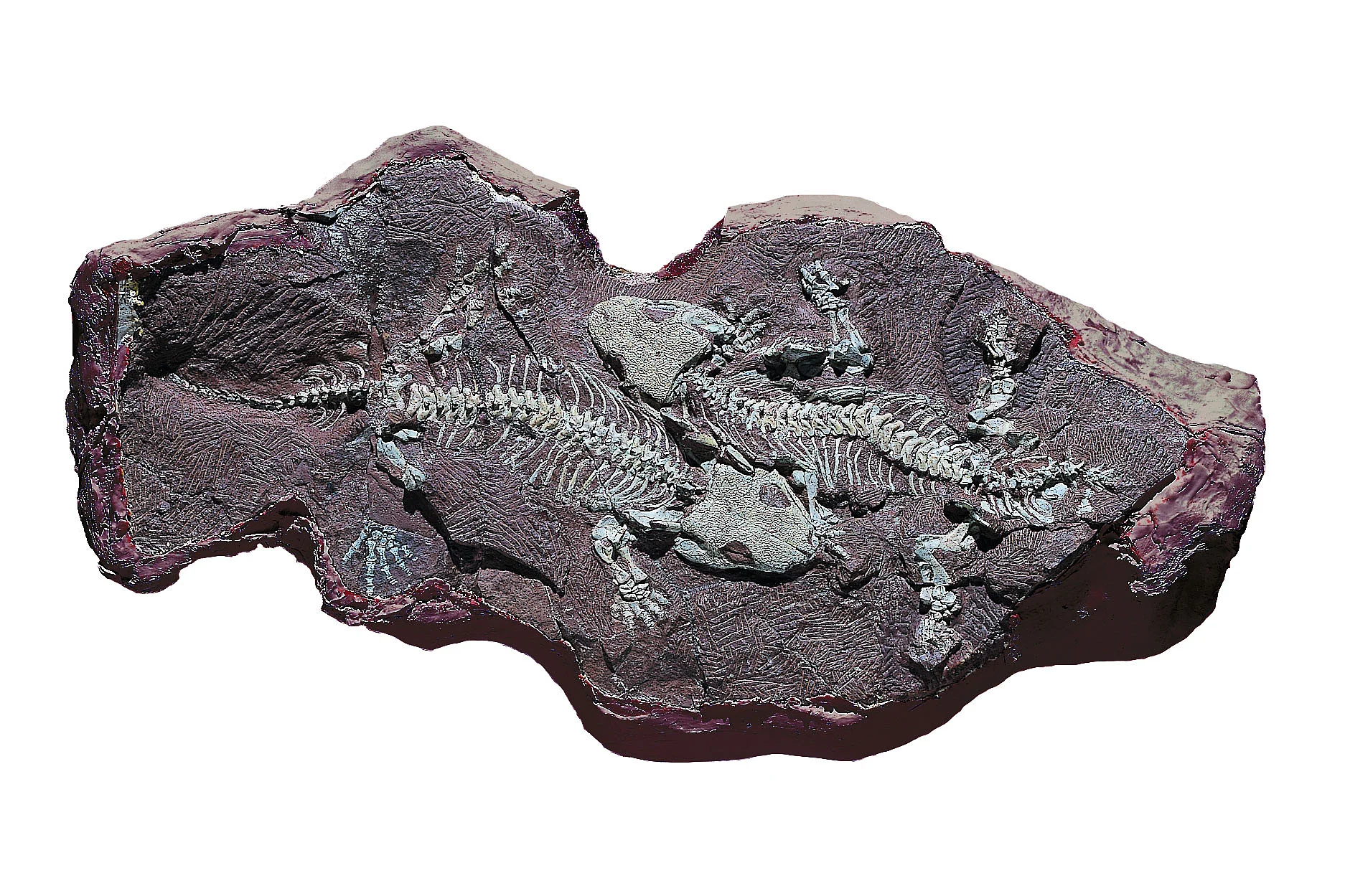 Öffnen von Wissenschaft: Neue Wege des Wissenstransfers am Beispiel des Forschungsprojekts BROMACKER