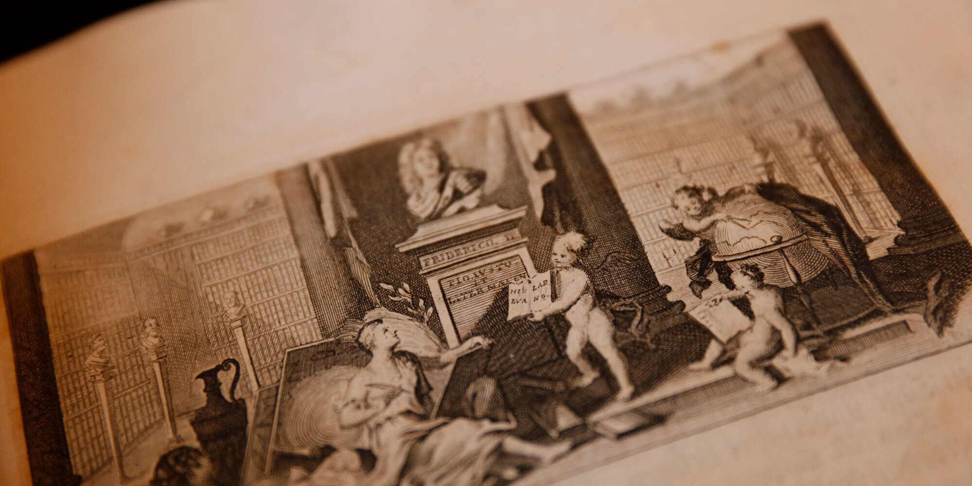 „Hilaria evangelica“