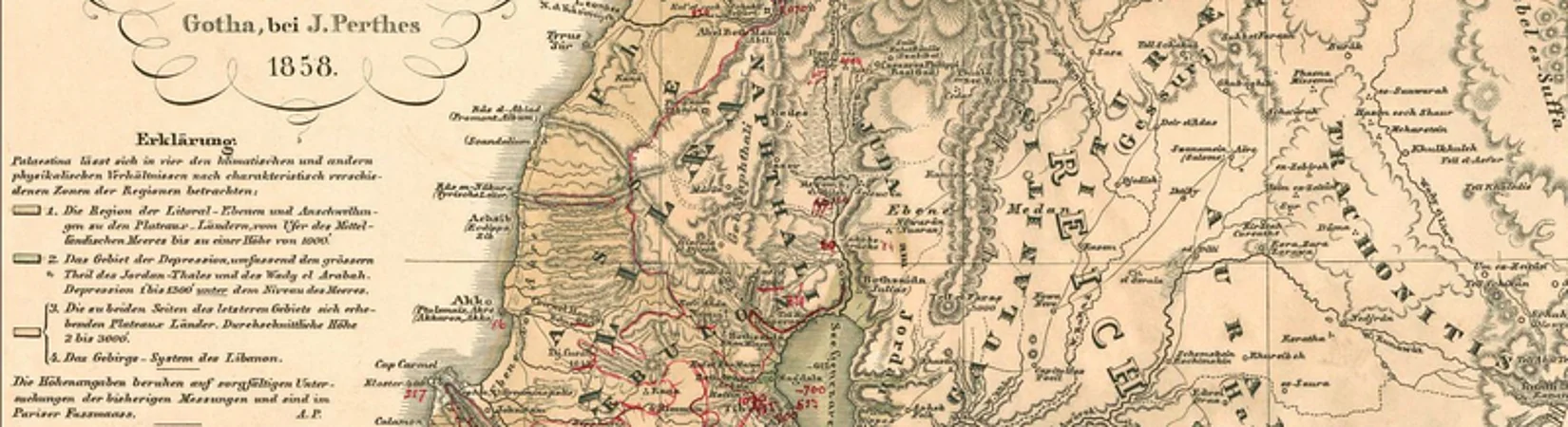 Pflanzen, Karten, Amulette