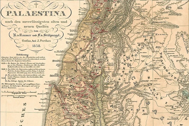 Pflanzen, Karten, Amulette