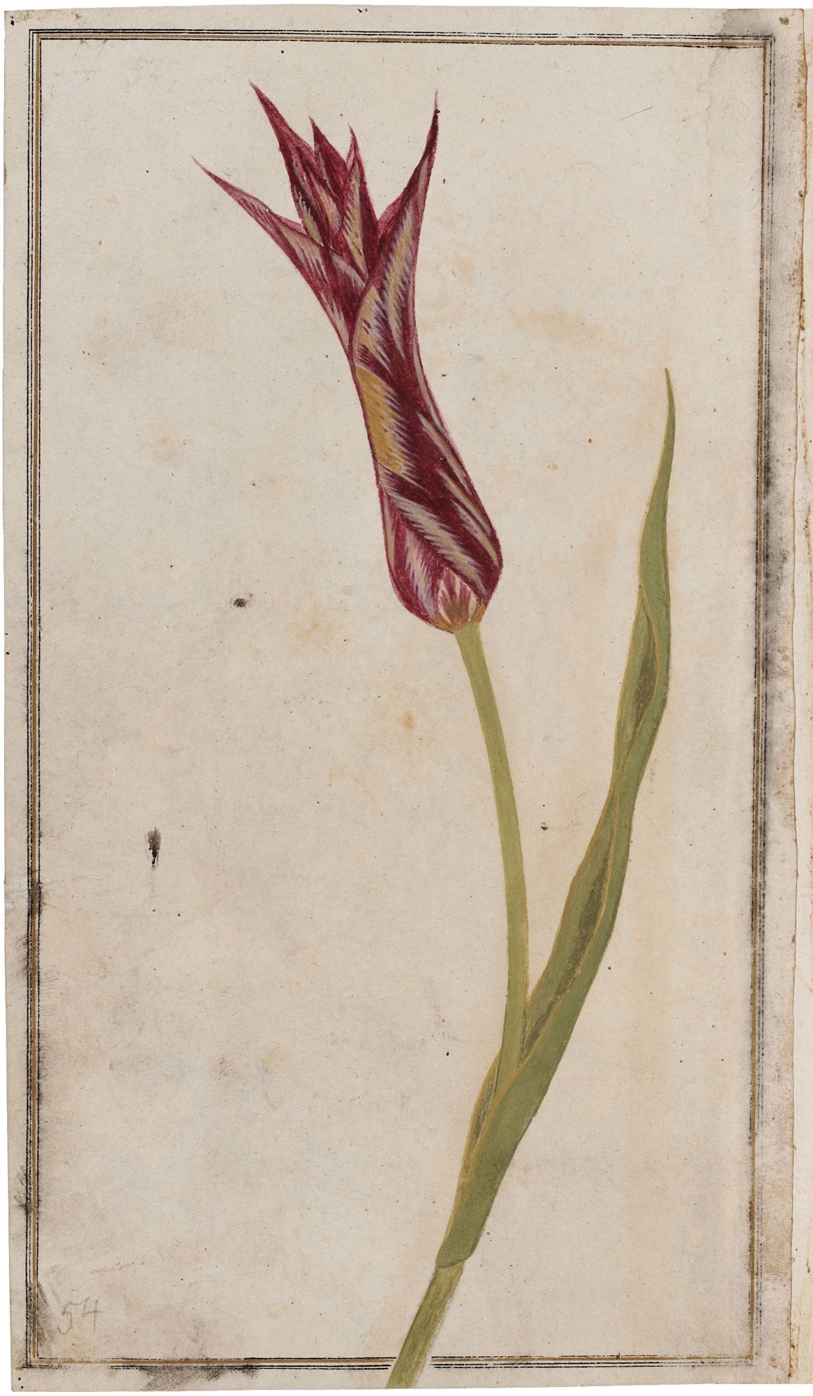 Hofkultur und Blumenzucht